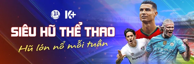 Hoàn trả đá gà VSWIN
